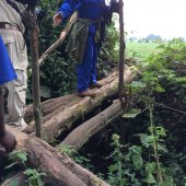  Crossing the Border Between Farm and Jungle (Rwanda)